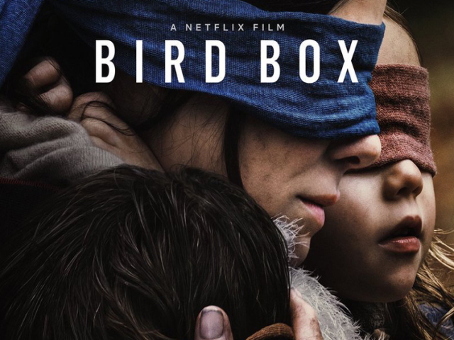 bird box