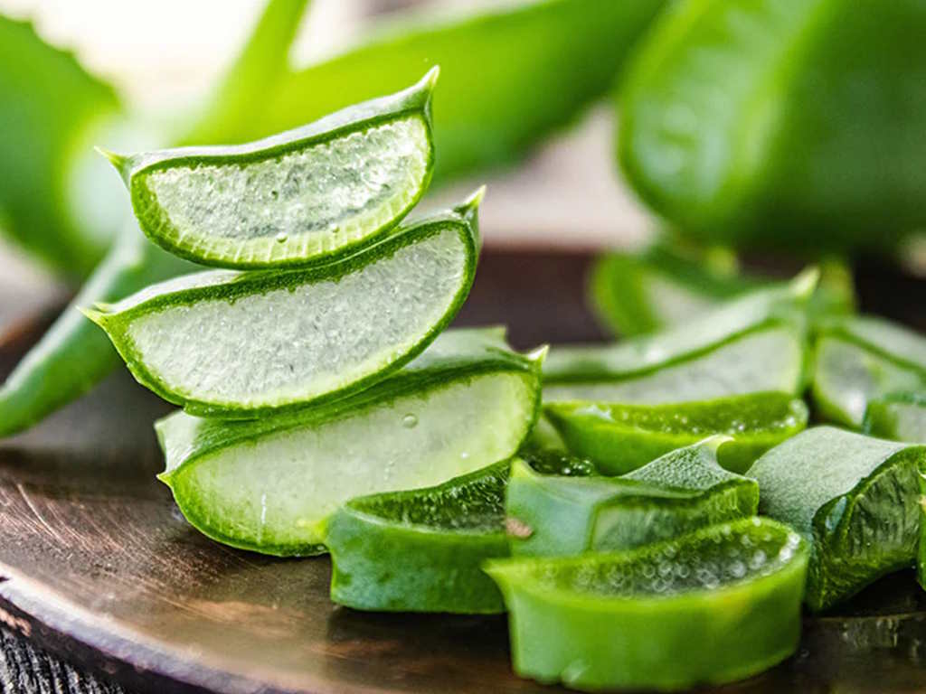 Aloe Vera